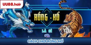 cách chơi Rồng Hổ