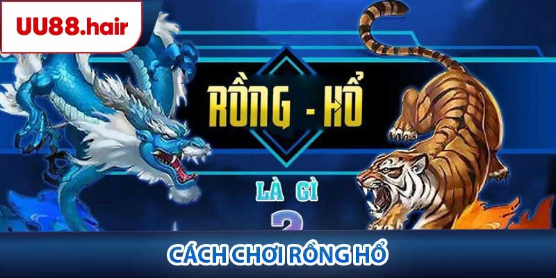 cách chơi Rồng Hổ